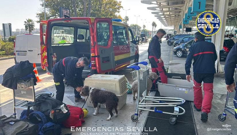 bomberos de sevilla