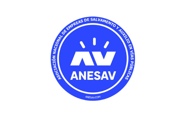 logo-anesav